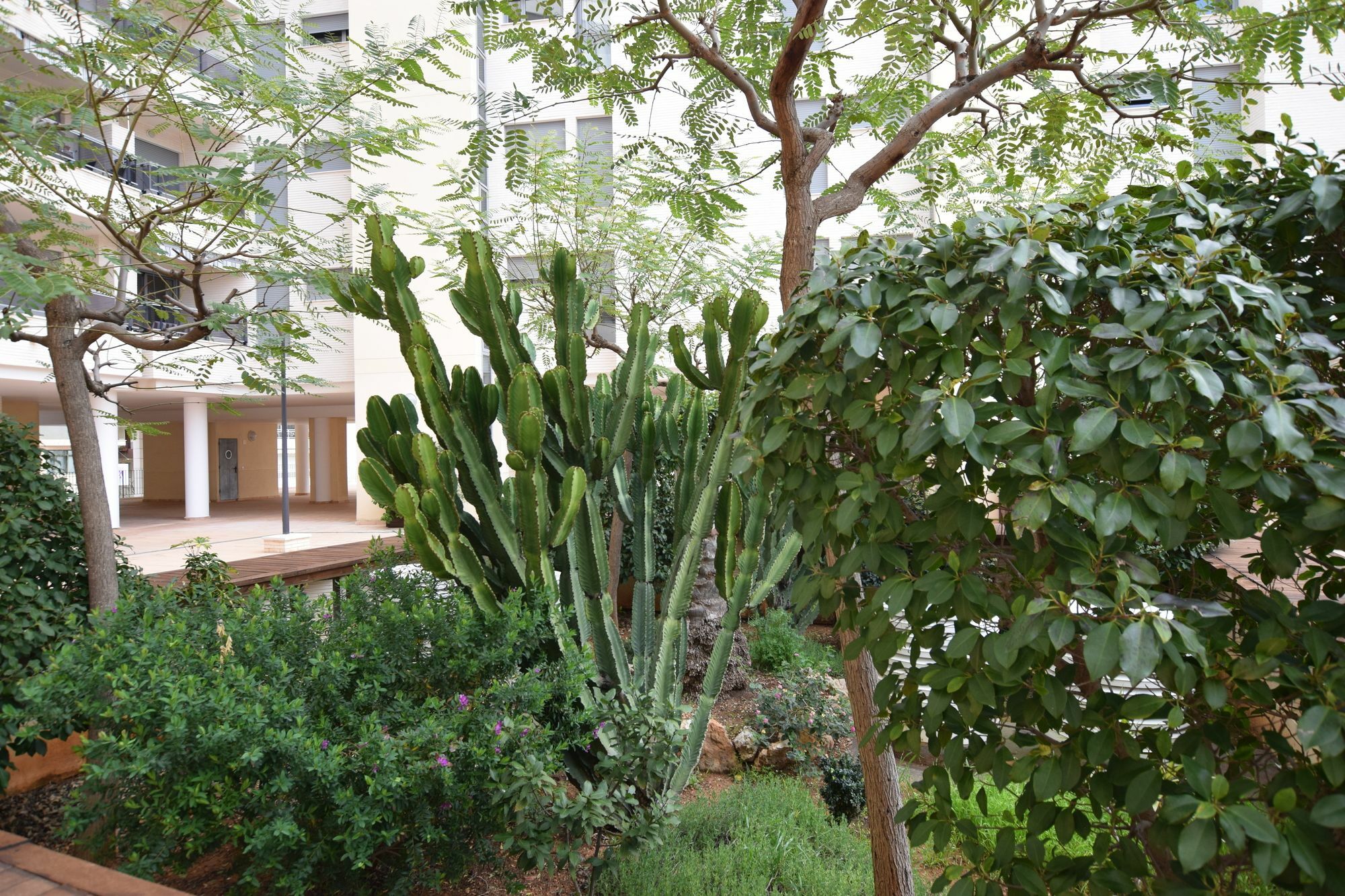 Appartamento Plaza Mayor 2 Bedroom